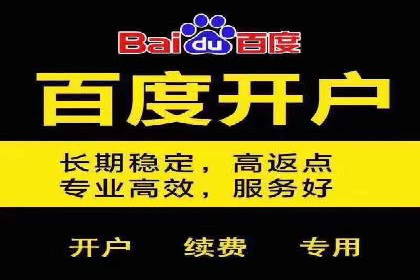 从小白到高手：百度竞价赚钱全记录